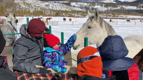 TAKE A SLEIGH RIDE AT A HORSE STABLE