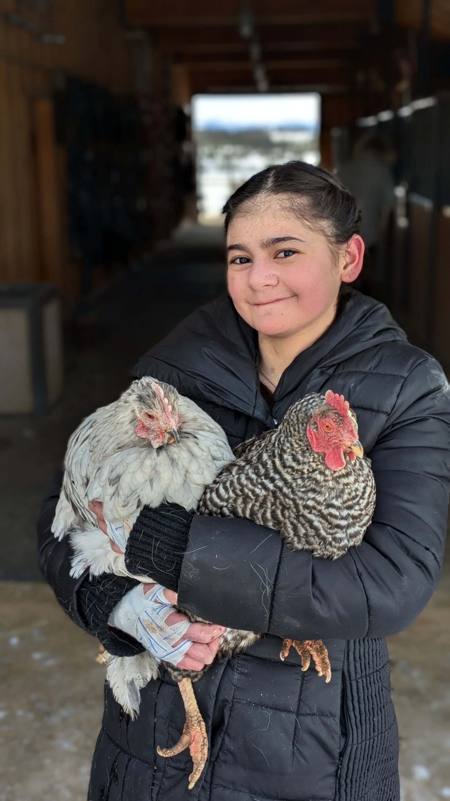 DTR Chickens and Little Ellen