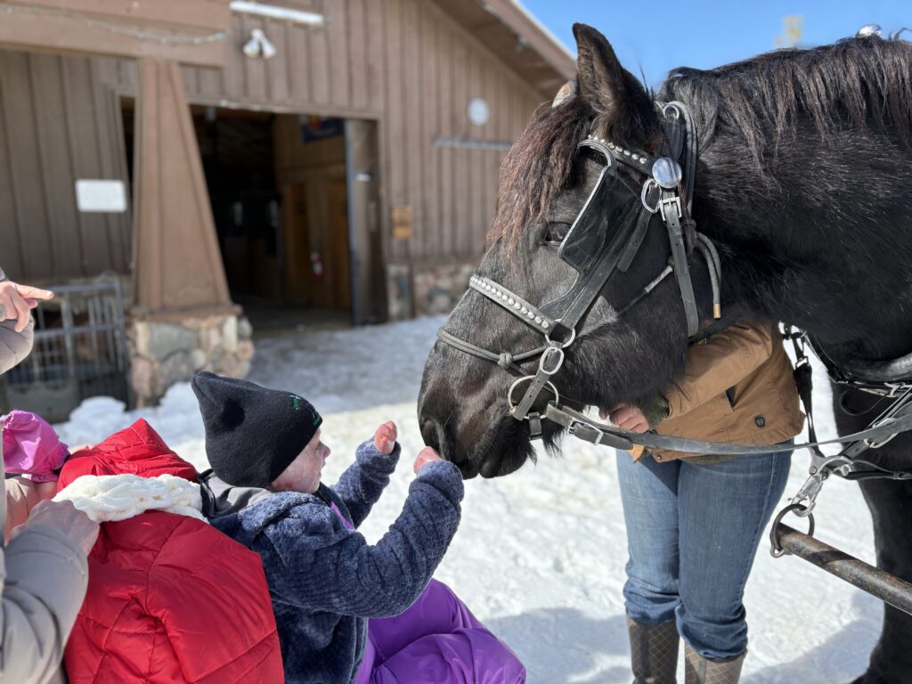 Rafi and Horse