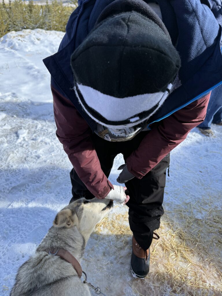 Darren with the dogs