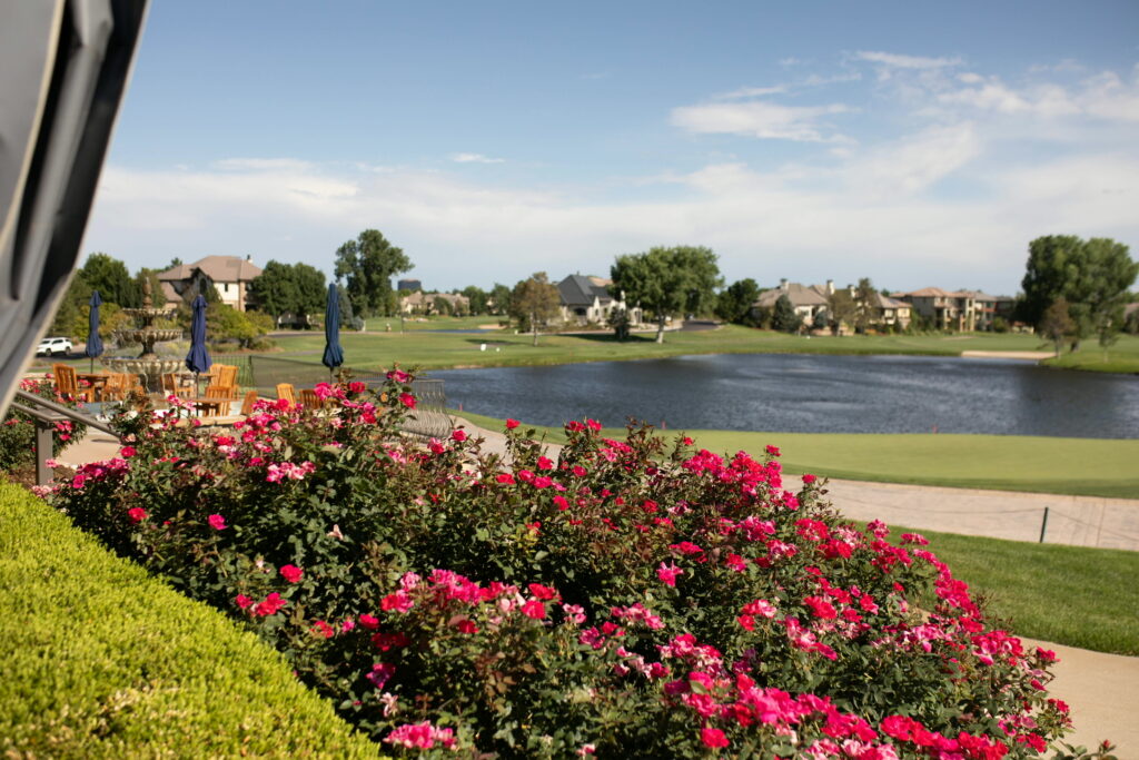 butterflychildren-26 2