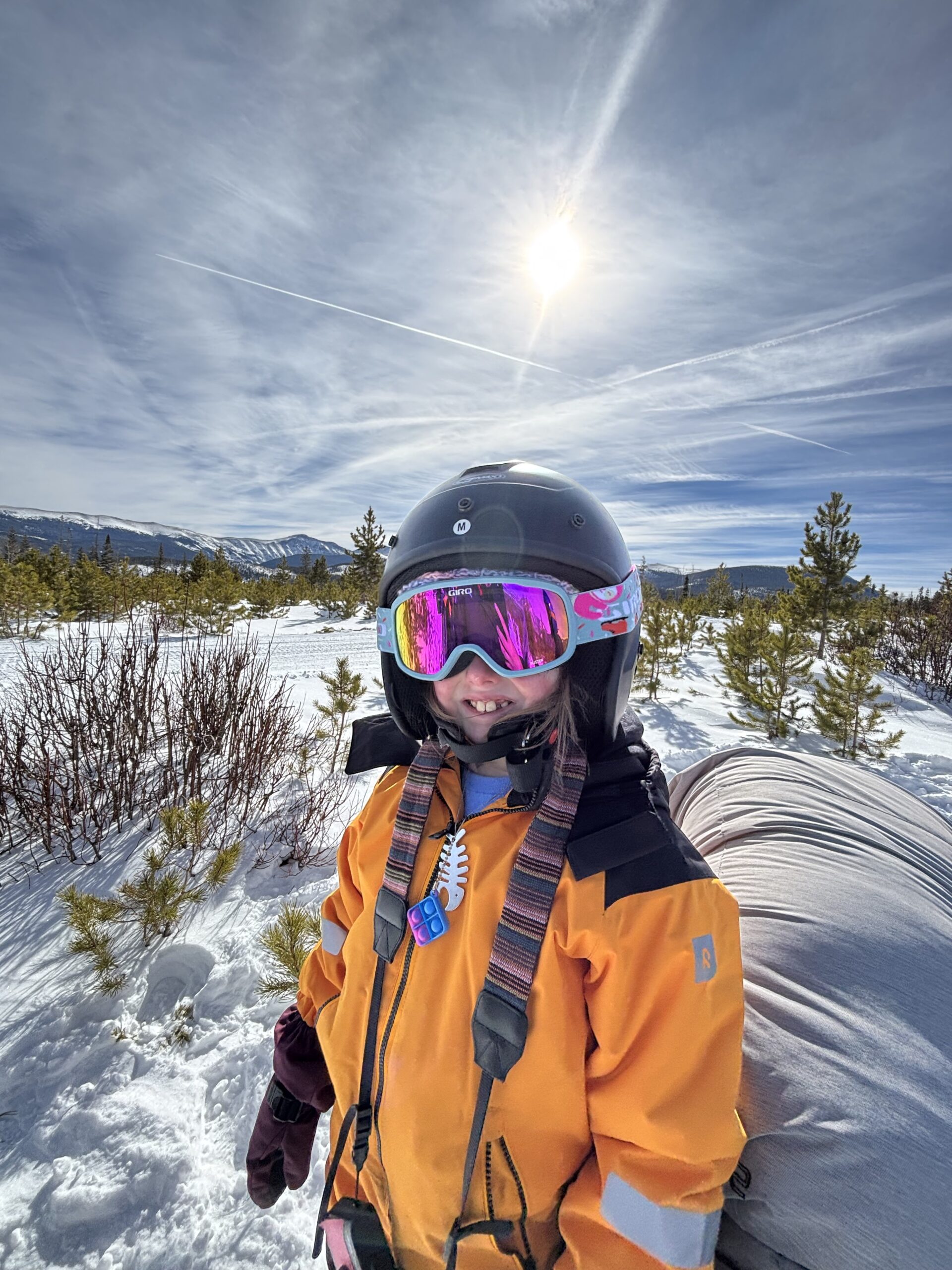 Rowan in the sunshine