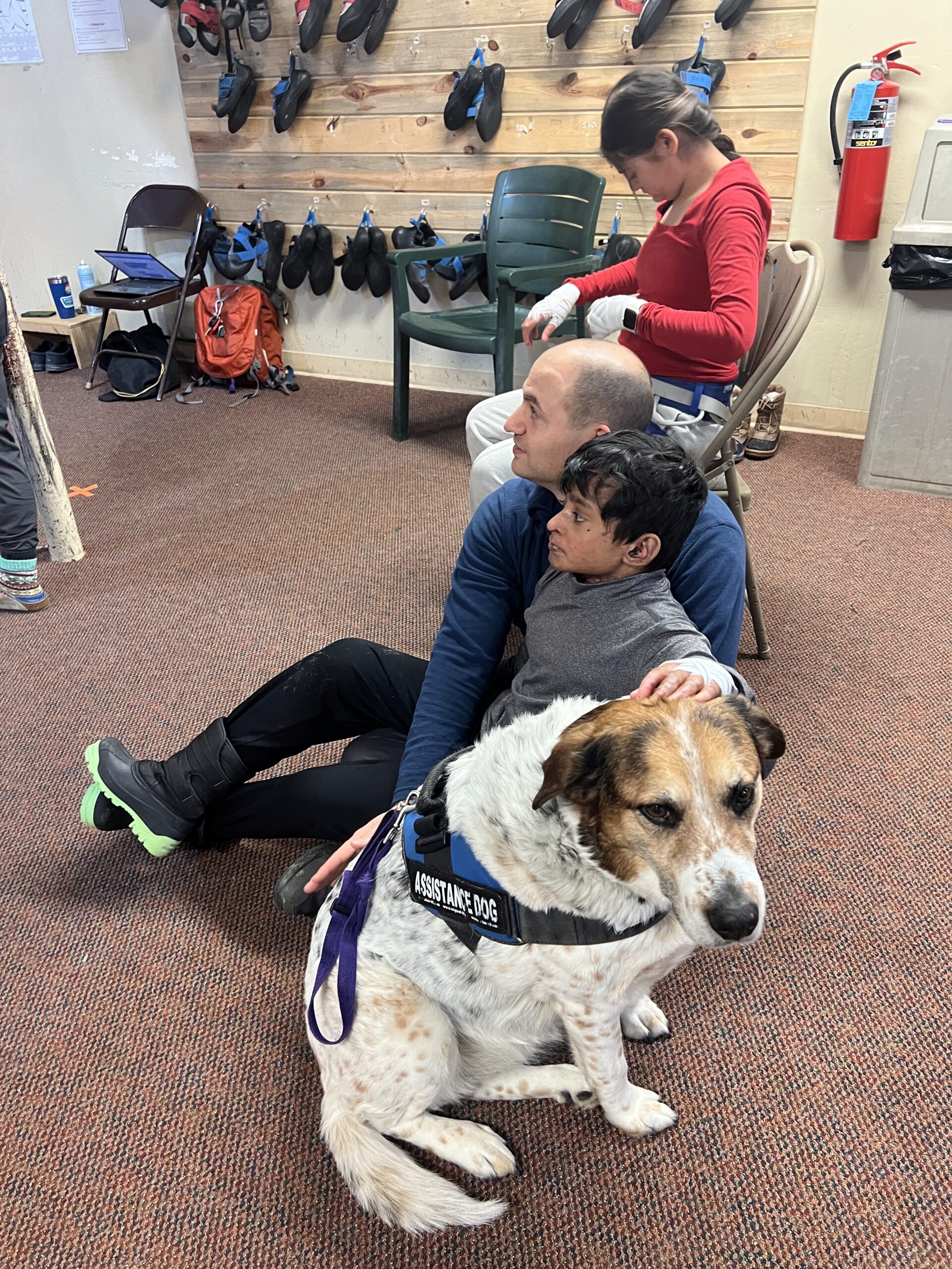 Alex, Salim and dogs